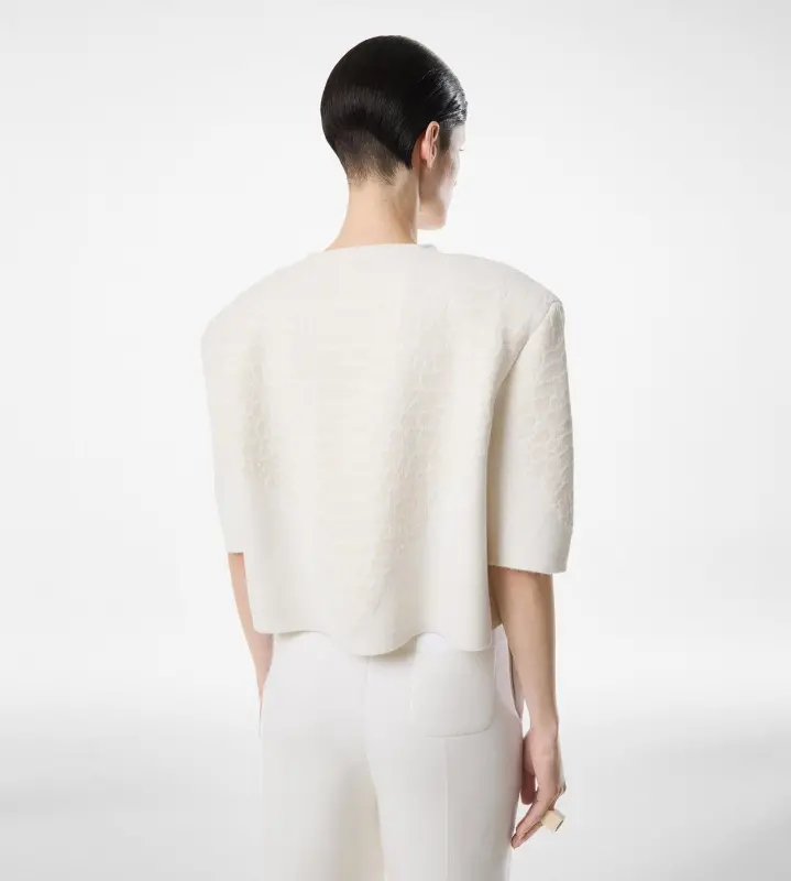 MERINO CASHMERE CREWNECK T-SHIRT WITH SILK CHENILLE EMBOSSED PYTHON DETAIL CHALK online